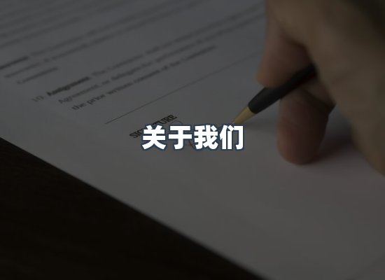 关于我们